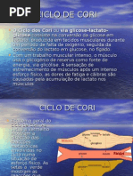 4E-Ciclo de Cori
