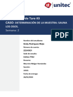 Tarea 3 Caso - Determinación de La Muestra. Sauna Los Osos. Fin - de Proy