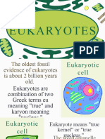Eukaryotes (General Biology 1)