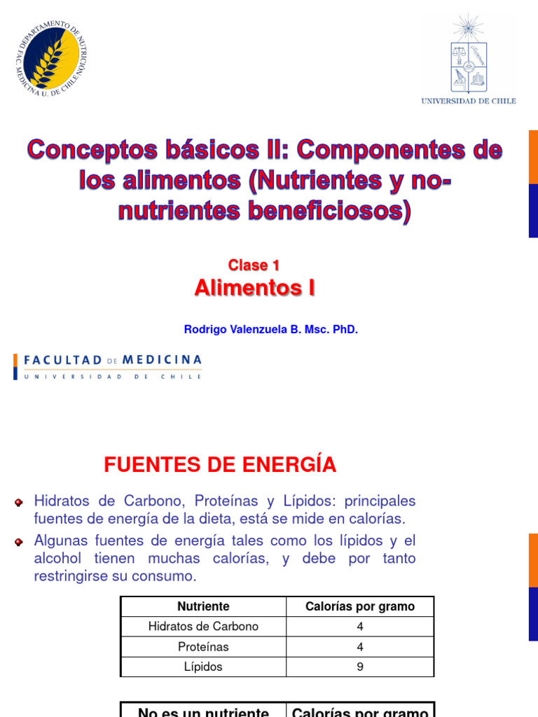conceptos-b-sicos-de-alimentos-ii-clase-1-1-pdf-carbohidratos