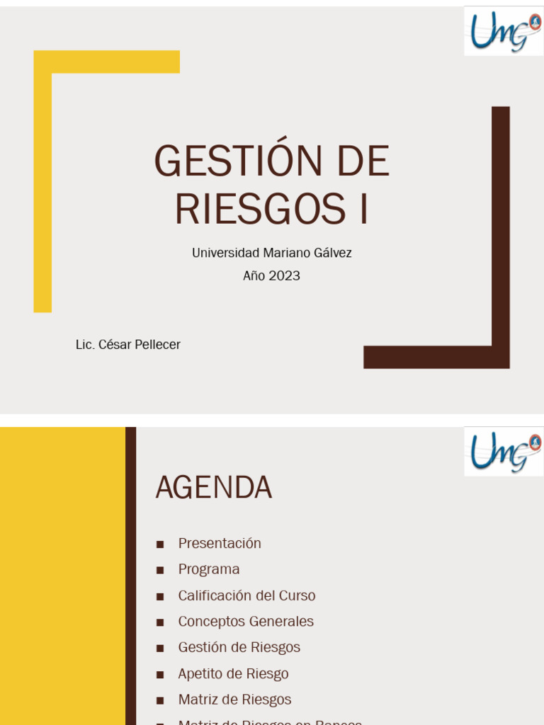 Gestion de Riesgos Integrado | Descargar gratis PDF | Riesgo crediticio ...