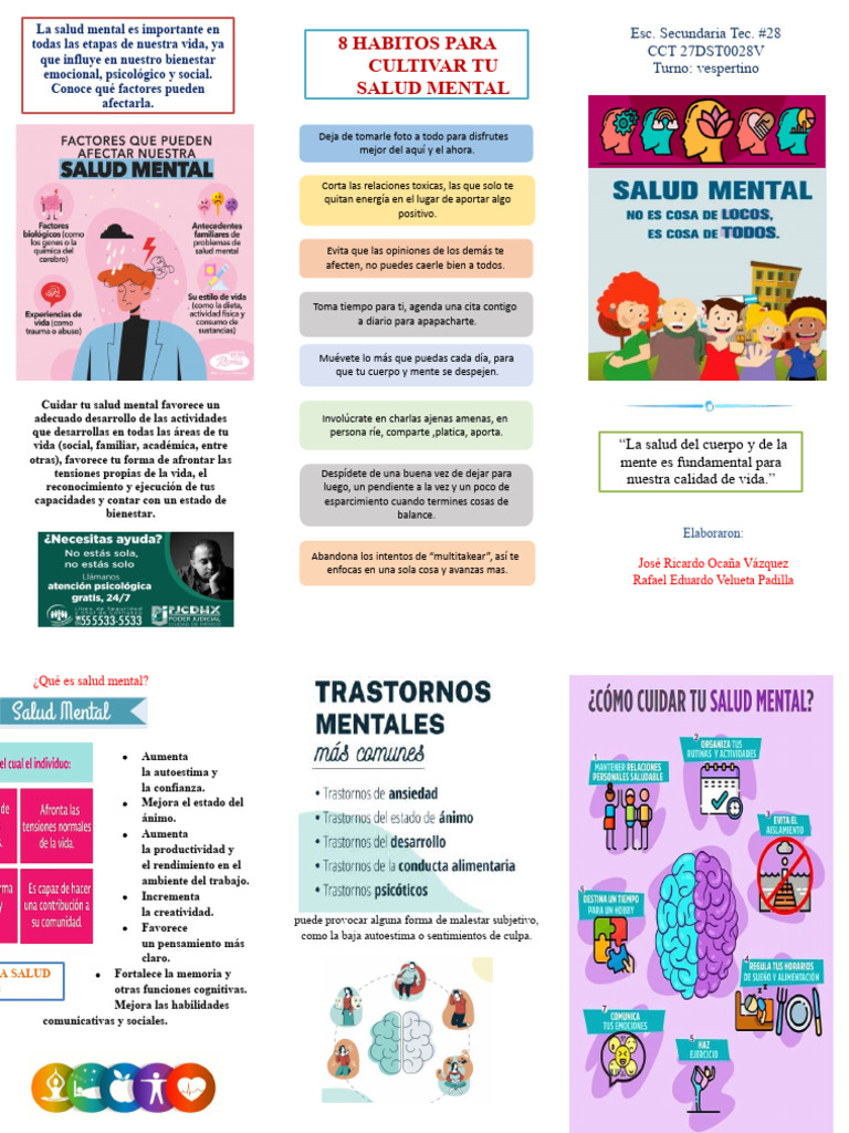 Hábitos para Mejorar la Salud Mental | PDF | Mente | Las emociones