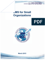 SM ICG Guidance For Small Organizations