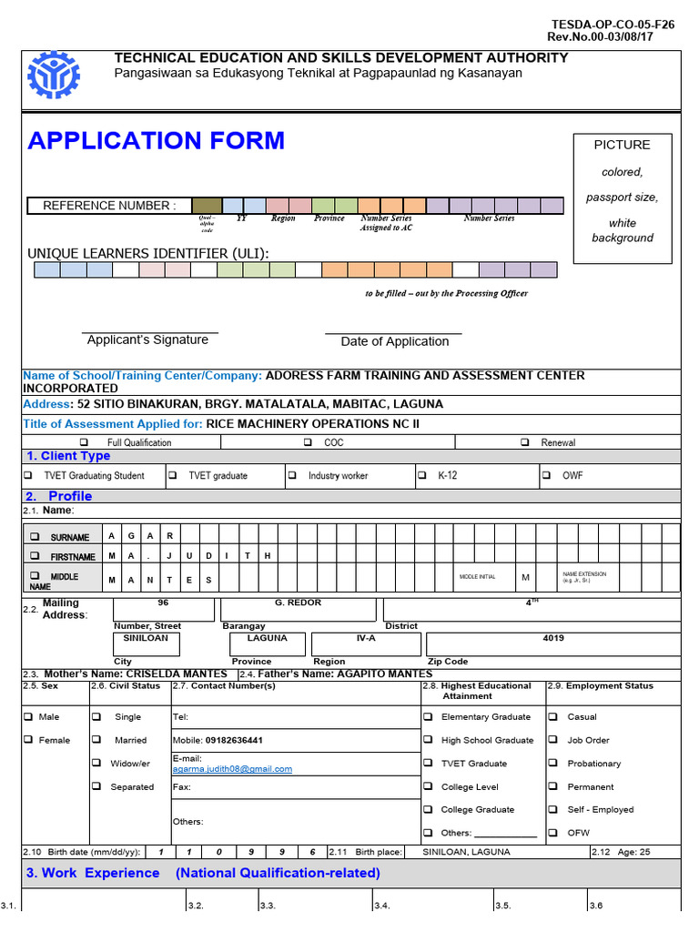 RMO NC II Application Form | PDF