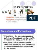 Sensation BBA 1st Lecture