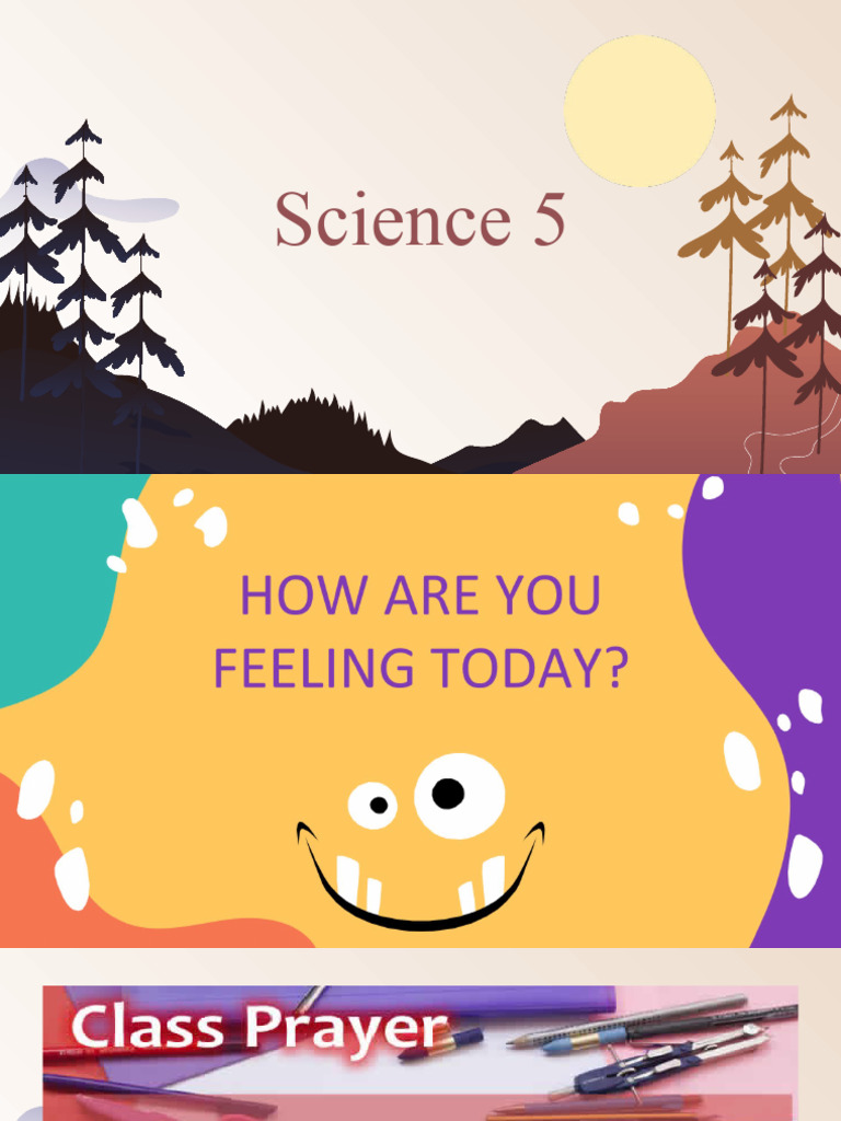 WHAT IS SOIL EROSION SCIENCE 5 visual data 4