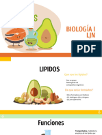 Lipidos