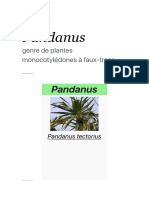Pandanus - Wikipédia