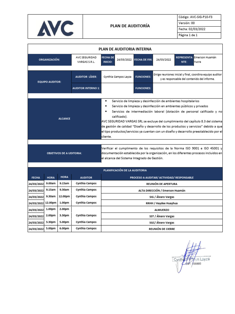 AVC SIG P10 F3 Plan de Auditoria | PDF | Auditoría | Business