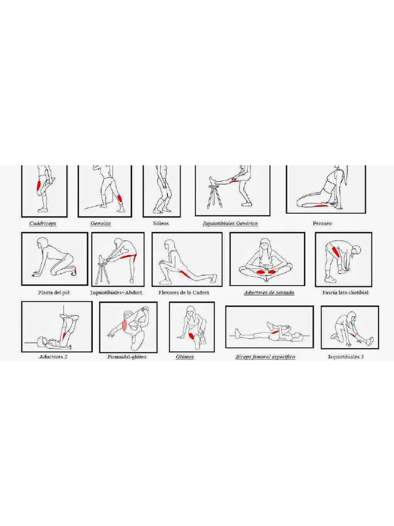 2 A | PDF