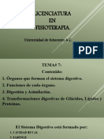 Conferencia # 7 Sistema Digestivo