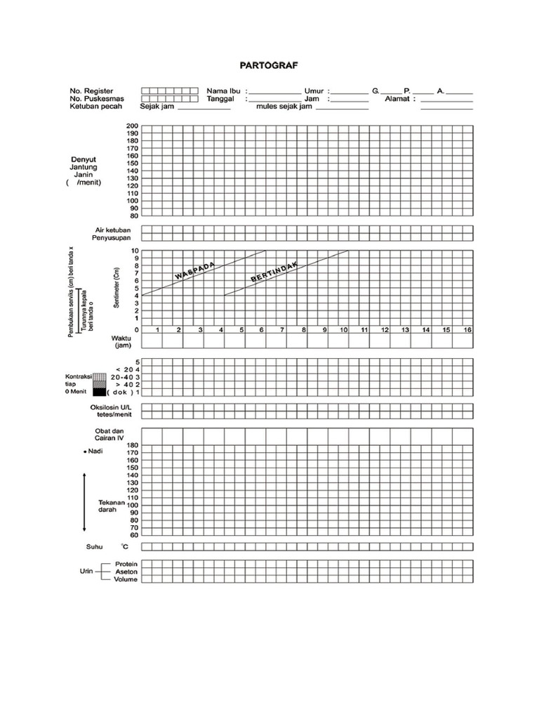 Lembar Partograf | PDF