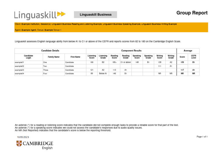Linguaskill Business Group Report - Example | PDF | Languages Of The ...