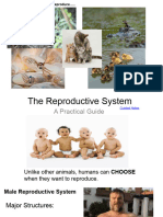 CH 19 The Reproductive System (GC)