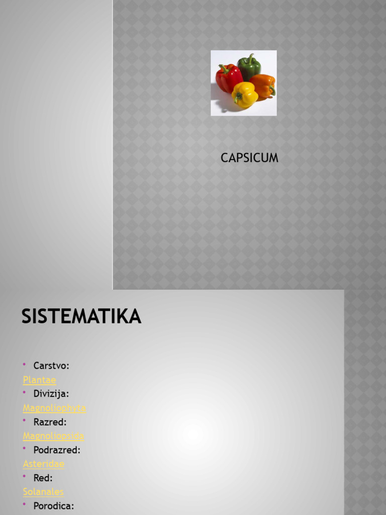 Paprika Prezentacija | PDF