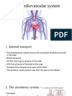 9th Grade - Cardiovascular System