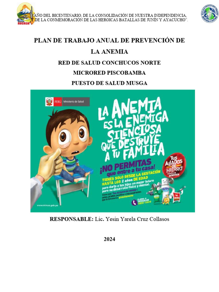 PLAN DE TRABAJO DE PREVENCIÓN DE LA ANEMIA-2024-PS MUSGA-Yesin | PDF ...