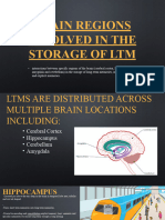 Brain Regions LTM Storage