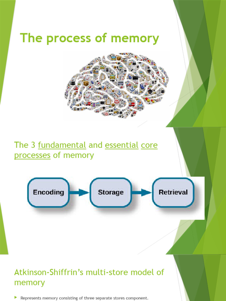Memory Power Point Pdf
