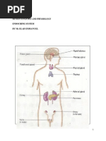 Endocrine System