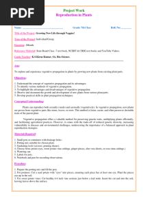 Class 7 Project Work Reproduction in Plants