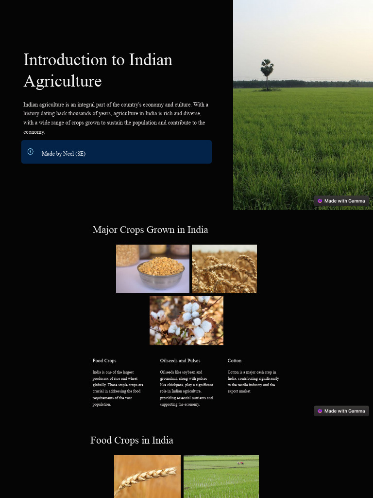 Overview of Major Indian Crops | PDF | Sugarcane | Agriculture