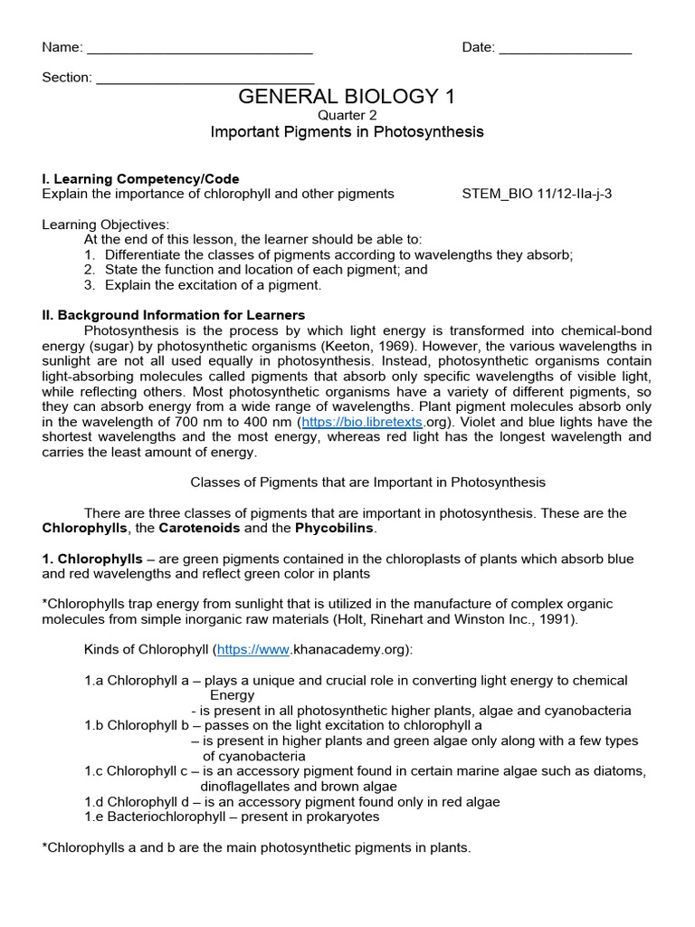 GENERAL BIOLOGY 1 Photosynthesis and Cellular Respiration - 084809 ...