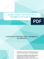 II 1a ESTRUCTURA Y FUNCION DE LA MEMBRANA PLASMATICA