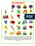 Bilderworterbuch Blumen Aktivitatskarten Bildworterbucher Einszueins Mento 120762
