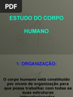 Estudo Do Corpo