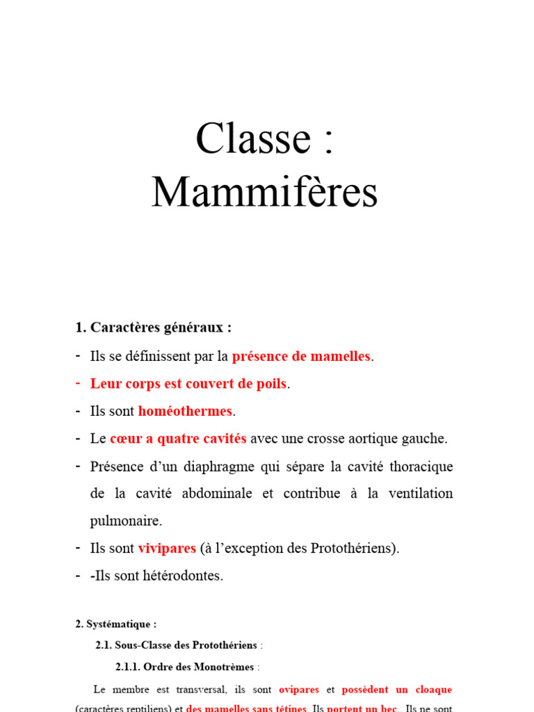 Classification des Mammifères PDF Sciences et mathématiques — free download