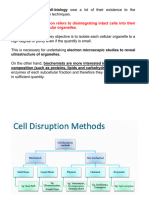 Subcellular Fractionation