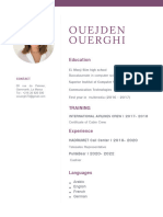 CV Ouejden PDF