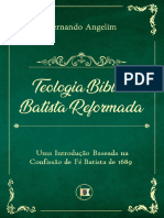 Teologia Bíblica Batista Reformada