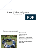 Week 13 Renal (Urinary) System Student