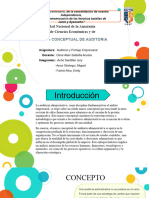 Auditoria y Peritaje Empresarial - Grupo N°1