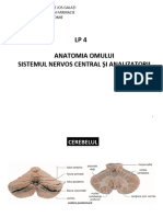 ANATOMIE SNC LP 4 Cerebel