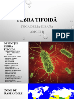 Febra Tifoidă ȚOCA DELIA-ILEANA AMG II-B