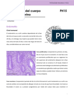 PH15-Patología Del Cuerpo Uterino-Dra. Mohs