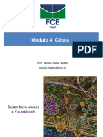 ATC Celula-Compactado