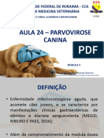 VIR - Aula 24 - Parvovirose Canina PDF