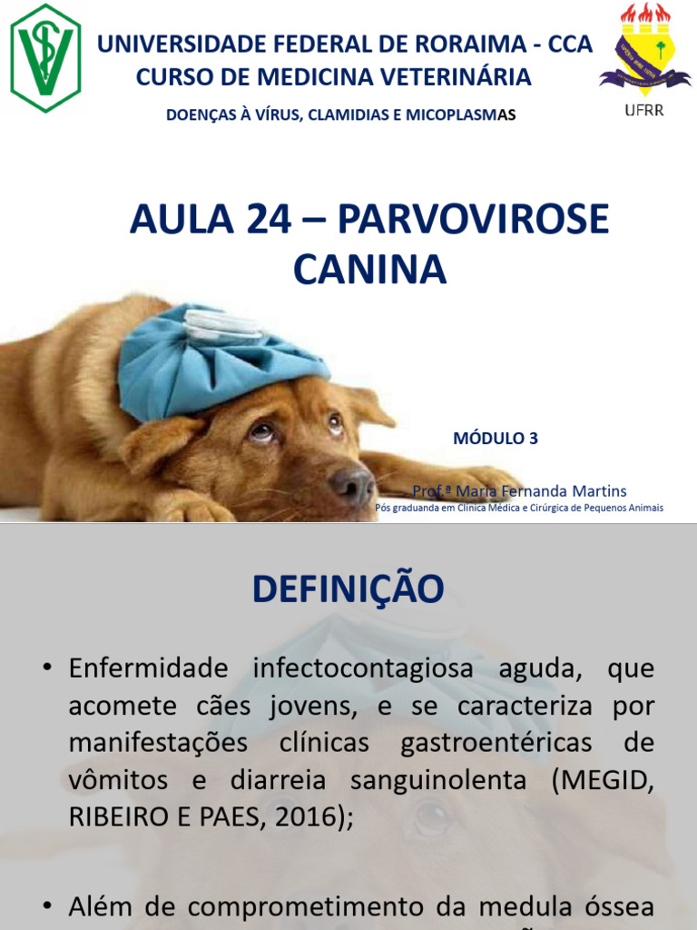 VIR - Aula 24 - Parvovirose Canina PDF | PDF | Vírus | Epitélio