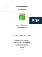Sintesa Protein (2020 - 08 - 14 00 - 09 - 04 UTC)