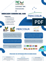 Proceso de Integración MERCOSUR