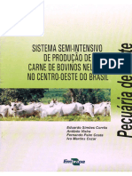 Sistema-semi-intensivo-de-producao-compressed