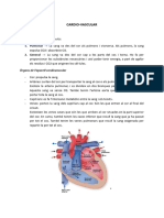 Còpia de M2 - Cardio