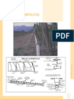 IV 16 Riego Californiano