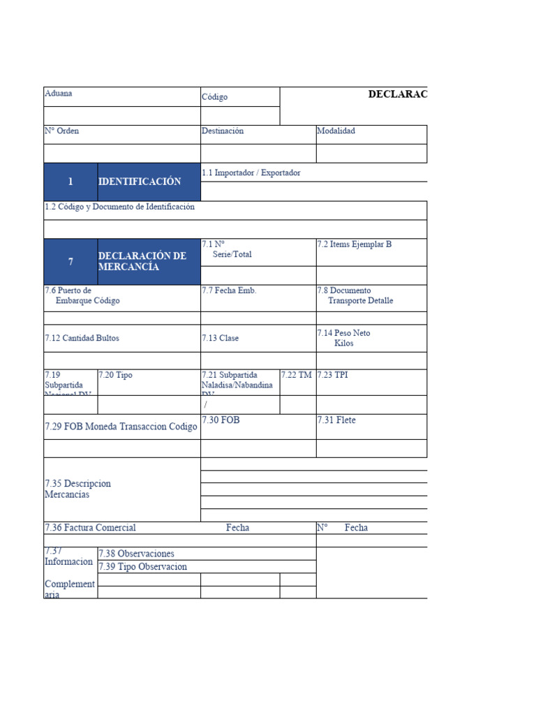 Formato Dam | PDF