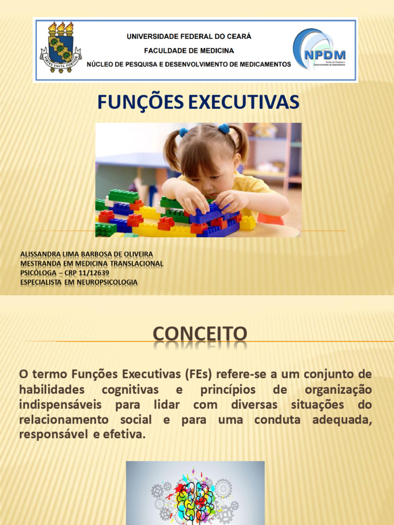 Funções Executivas | PDF | Neuropsicologia | Emoções