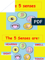 My Five Senses Conversation Topics Dialogs Fun Activities Games - 42578